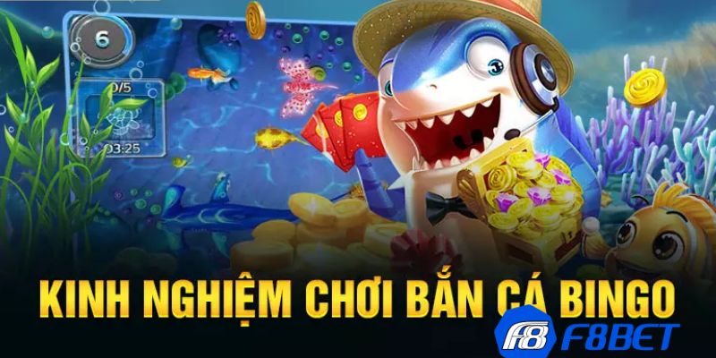 bắn cá bingo Kinh nghiệm chơi bắn cá bingo ăn tiền hiệu quả từ cao thủ