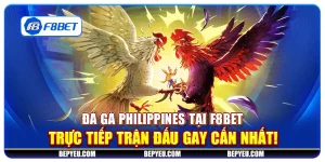Đá gà Philippines tại F8Bet - Trực tiếp trận đấu gay cấn nhất