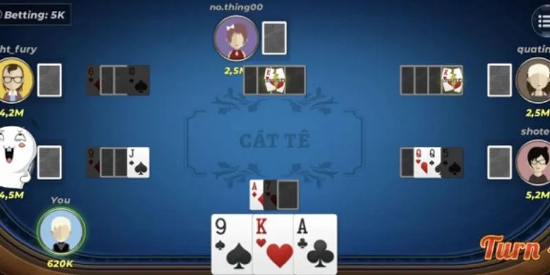 Tìm hiểu những lỗi thường gặp khi chơi Catte