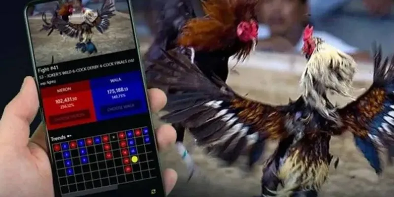 Mẹo chọn gà đá thắng cược tại khi cá cược