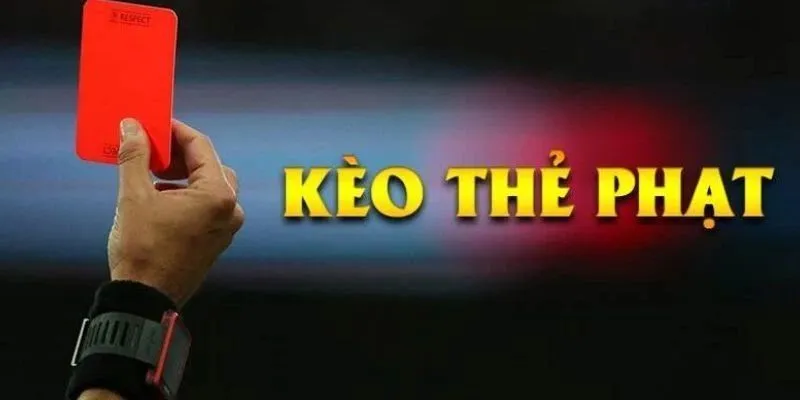 Tổng hợp kinh nghiệm cá cược cho tân thủ