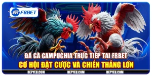 Đá gà Campuchia trực tiếp tại F8Bet - Cơ hội đặt cược và chiến thắng lớn