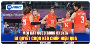 Mẹo đặt cược bóng chuyền - Bí quyết chọn kèo chấp hiệu quả