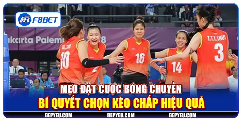 Mẹo đặt cược bóng chuyền - Bí quyết chọn kèo chấp hiệu quả