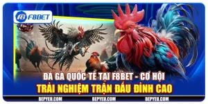 Đá gà quốc tế tại F8Bet - Cơ hội trải nghiệm trận đấu đỉnh cao
