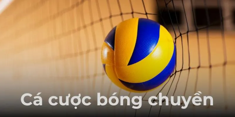Điểm danh các loại cược bóng chuyền phổ biến