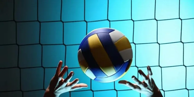 Khám phá mẹo đặt cược bóng chuyền hiệu quả