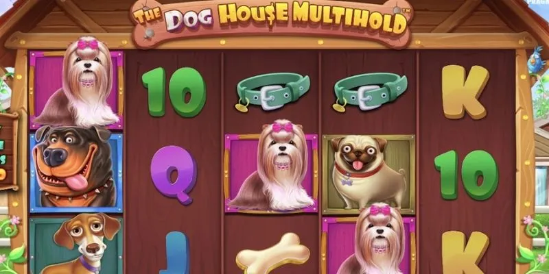 Tìm hiểu chi tiết cách chơi The Dog House