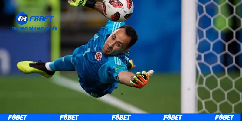 Cách đọc kèo tổng số pha cản phá